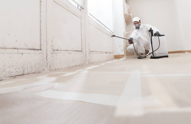 24/7 Emergency Black Mold Remediation experts in Hiram, GA